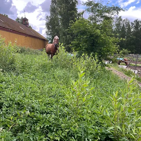 Seppaelaen Tallin Leiritilat