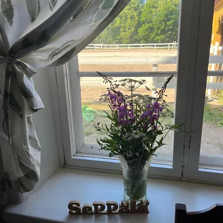 Seppaelaen Tallin Leiritilat * Mänttä